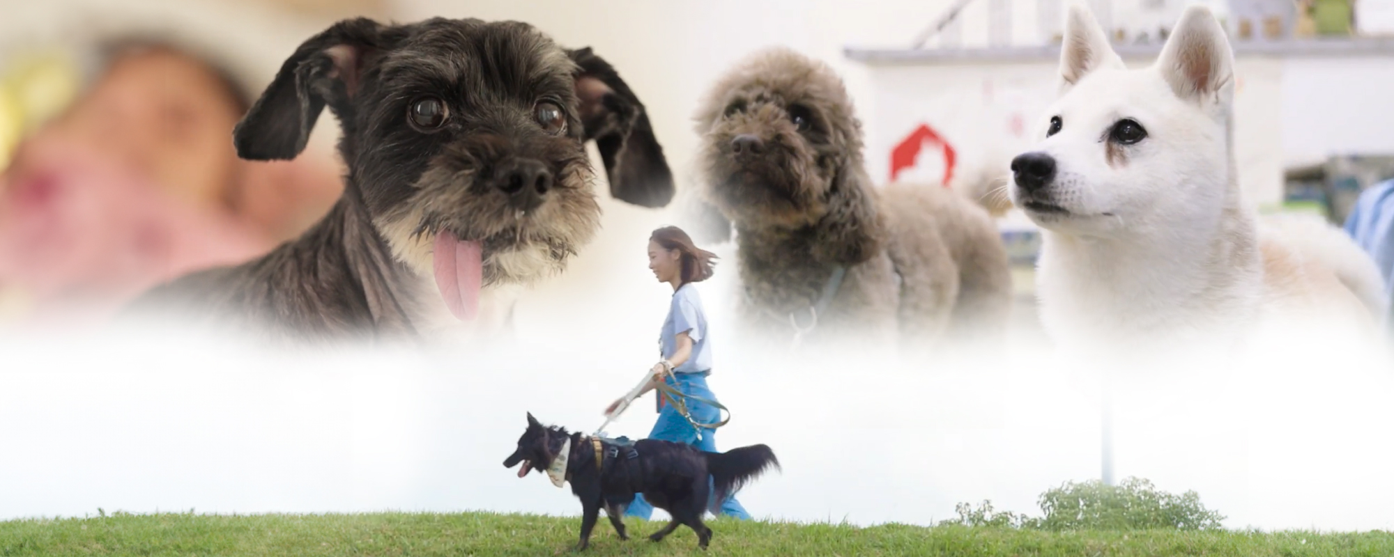 indexBanner